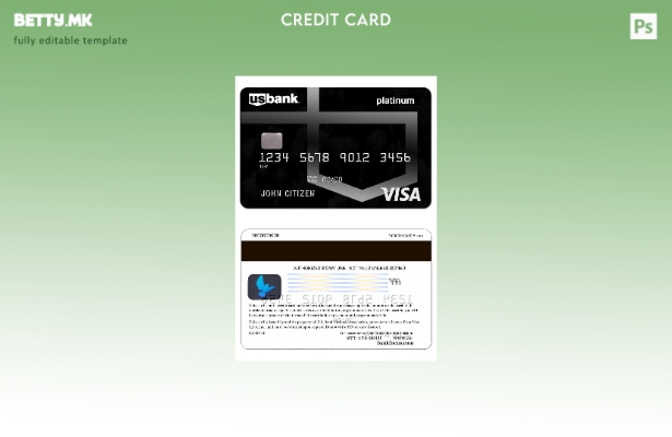 Платинумски шаблон за виза картичка на банката на САД во модерен стил